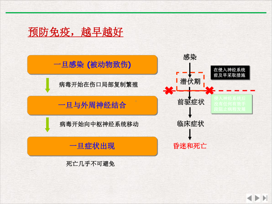 狂犬病免疫材料课件.pptx_第3页