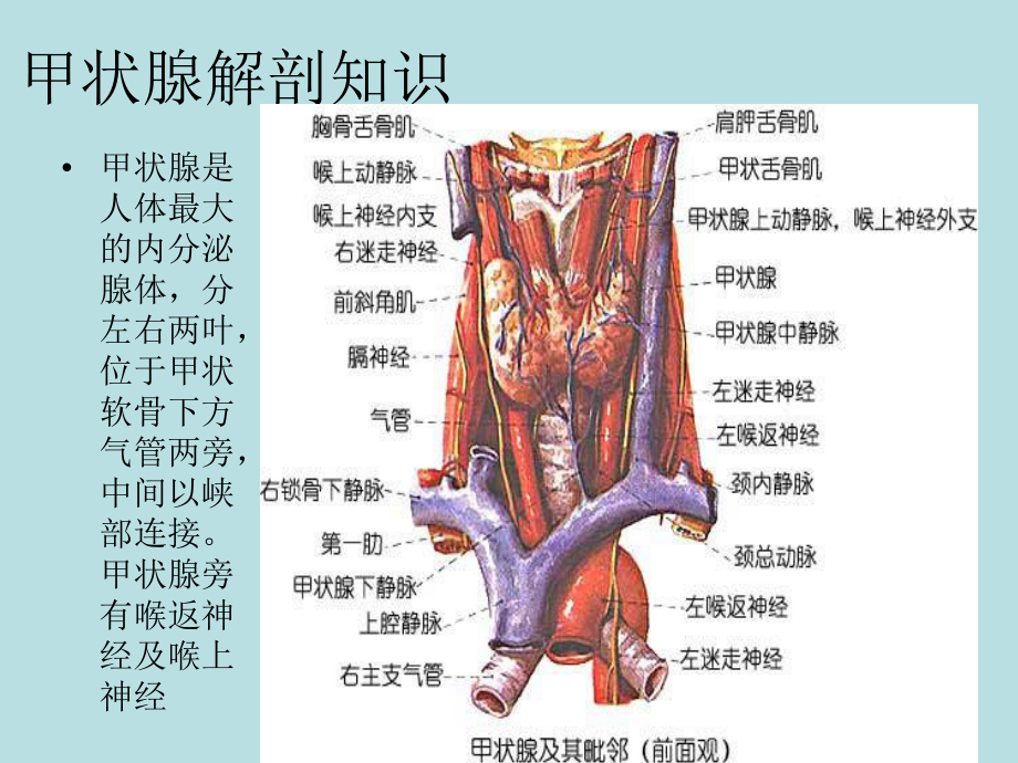 甲状腺手术病人护理课件.ppt_第3页