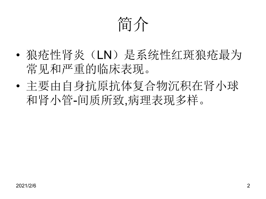 狼疮性肾炎LN描述课件.ppt_第2页