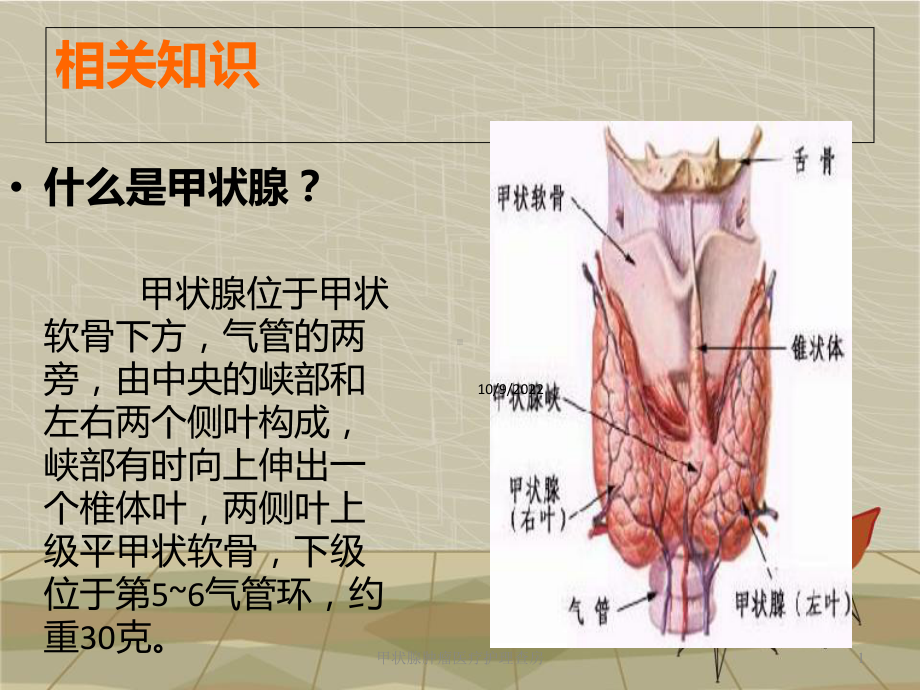 甲状腺肿瘤医疗护理查房培训课件.ppt_第1页