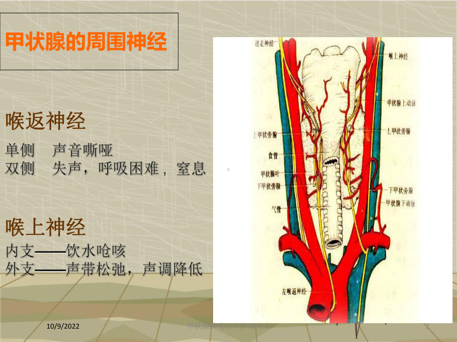 甲状腺肿瘤医疗护理查房培训课件.ppt_第2页