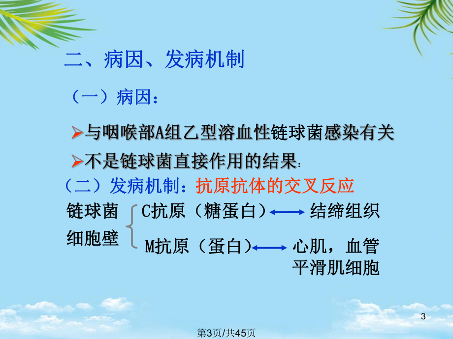 病理学风湿病全面版课件.pptx_第3页