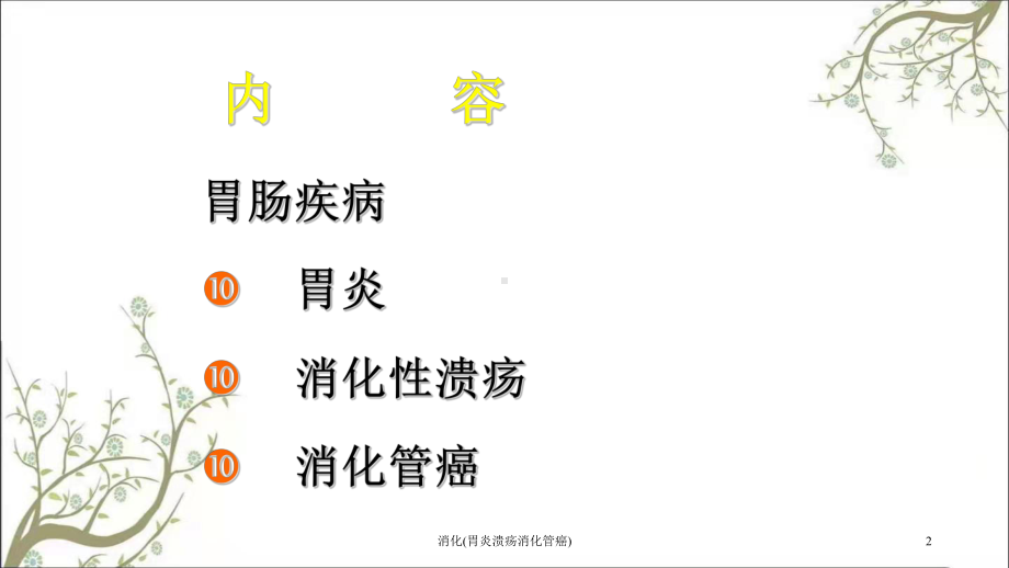 消化(胃炎溃疡消化管癌)课件.ppt_第2页