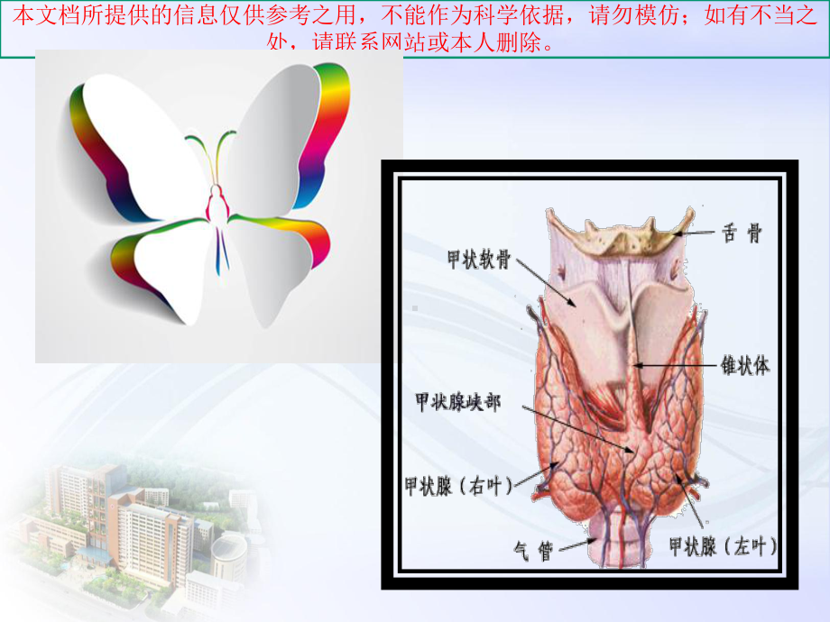 甲状腺功能检查解读培训课件.ppt_第1页