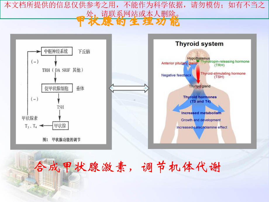 甲状腺功能检查解读培训课件.ppt_第3页