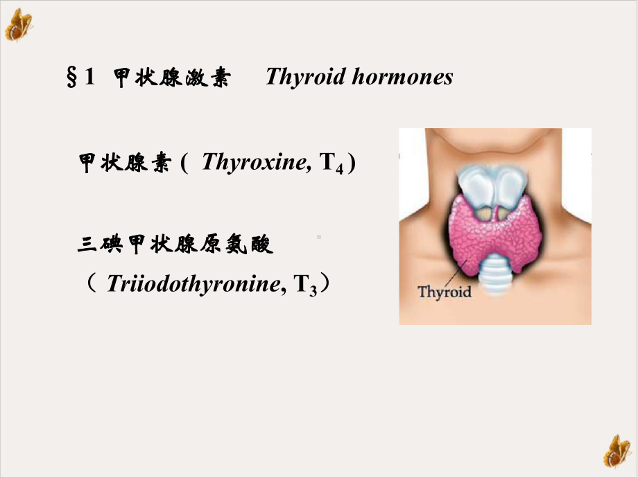 甲状腺激素及抗甲状腺药口腔课件.ppt_第3页