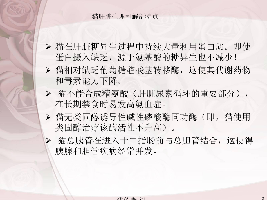 猫的脂肪肝培训课件.ppt_第2页