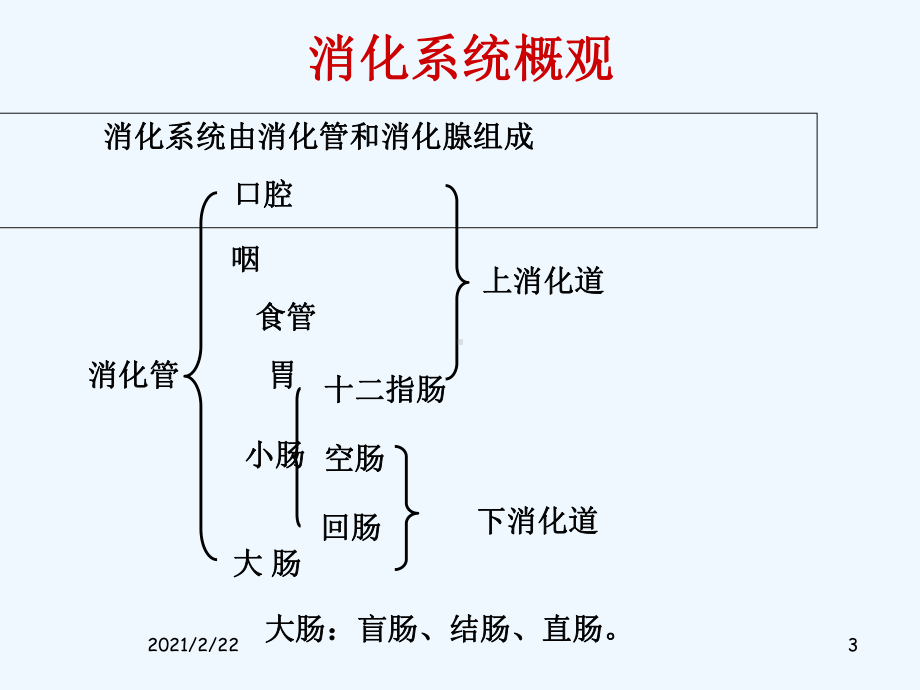 消化系统健康评估课件.ppt_第3页