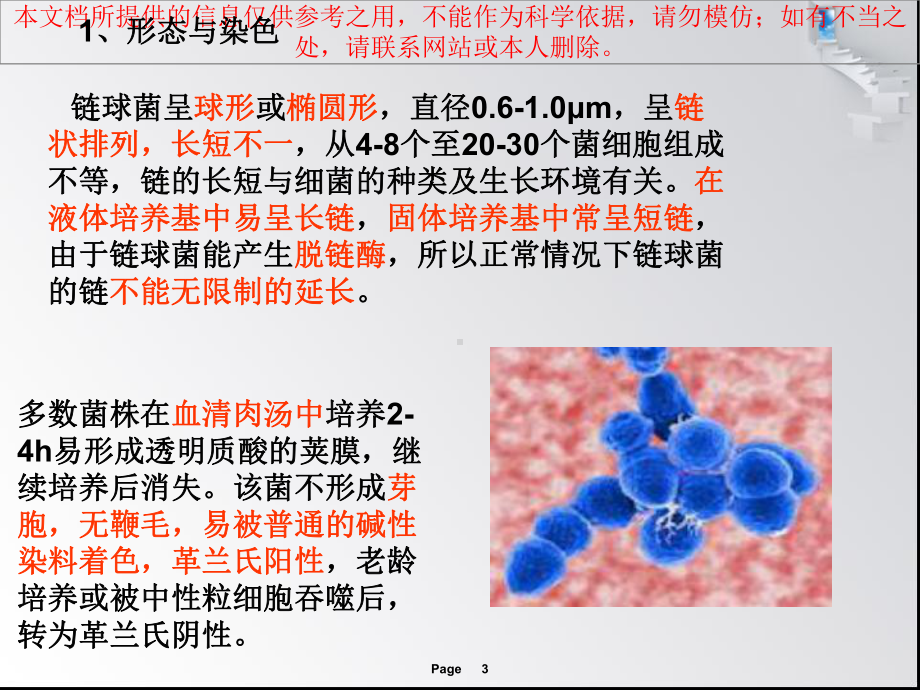 溶血性链球菌培训课件.ppt_第3页