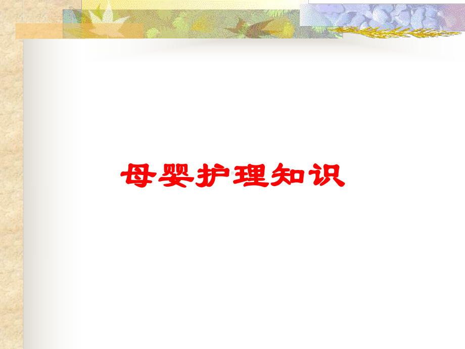 母婴护理知识培训课件.ppt_第1页