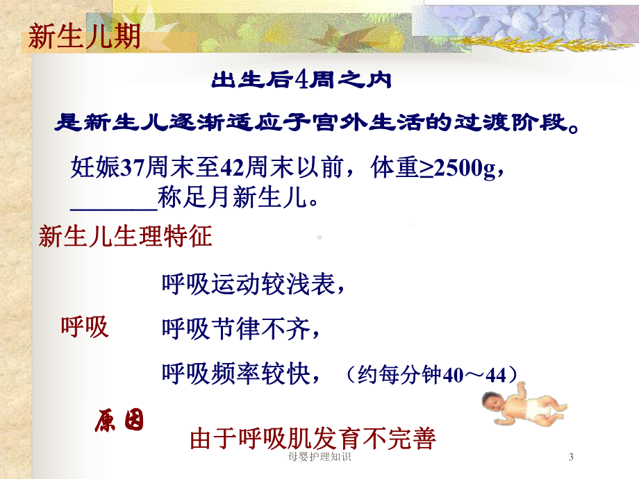 母婴护理知识培训课件.ppt_第3页