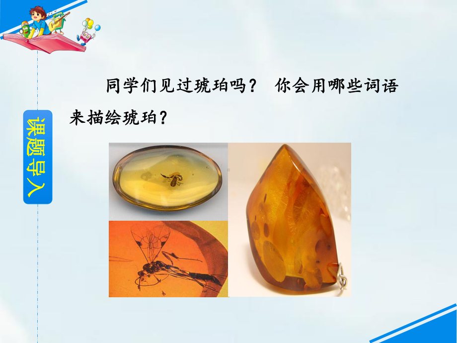 琥珀优秀课件1.ppt_第2页