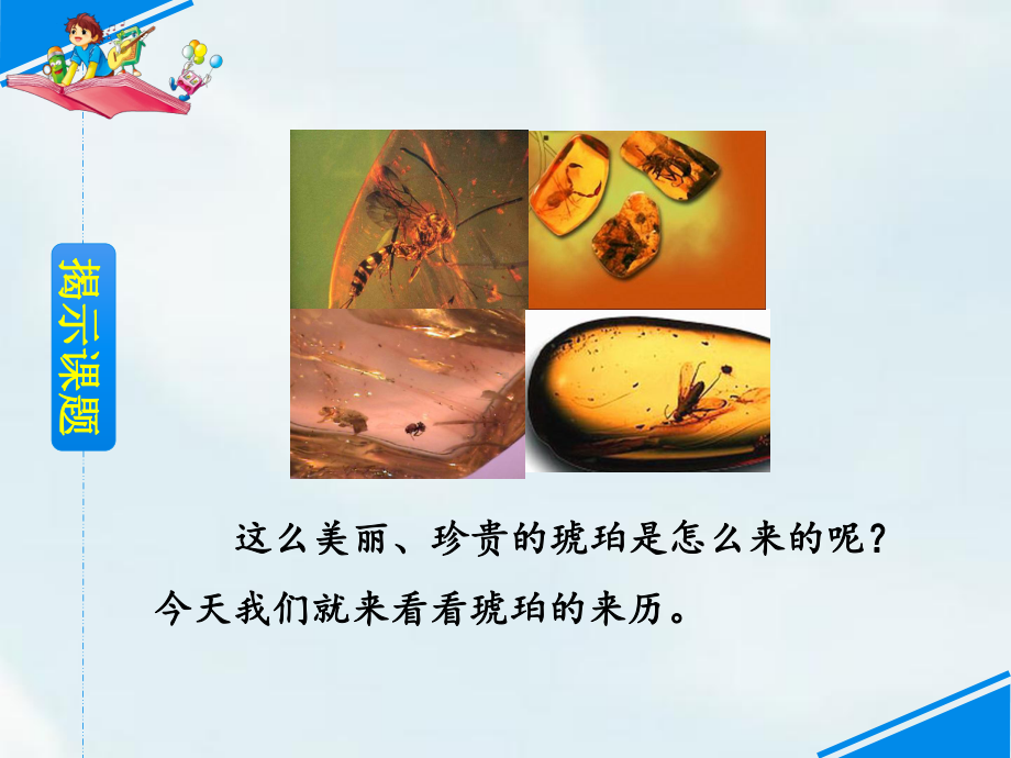 琥珀优秀课件1.ppt_第3页