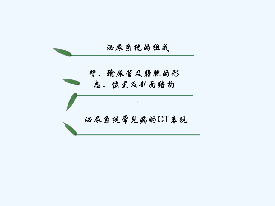 泌尿系CT诊断小讲座课件.ppt_第2页