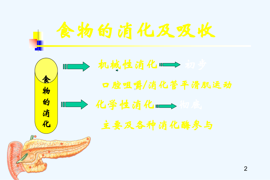 消化酶相关性消化不良与治疗课件.ppt_第2页