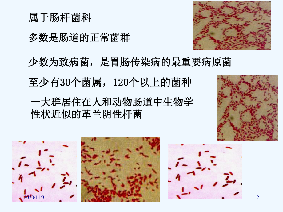 消化道传播的病原微生物课件.ppt_第2页