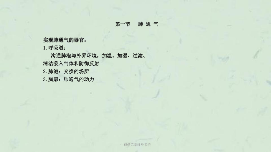 生理学第章呼吸系统课件.ppt_第3页