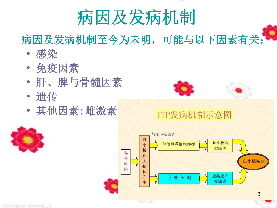 特发性血小板减少性紫癜患者的护理查房参考课件.ppt_第3页