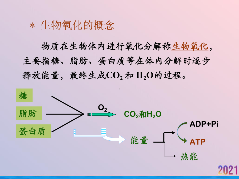 生物氧化中医课件.ppt_第3页