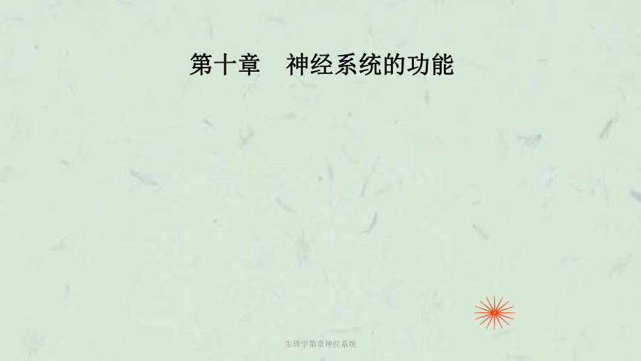 生理学第章神经系统课件.ppt_第1页