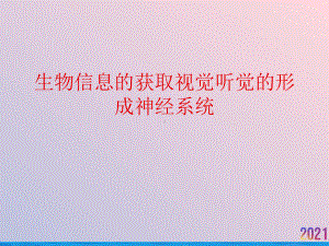 生物信息的获取视觉听觉的形成神经系统课件.ppt