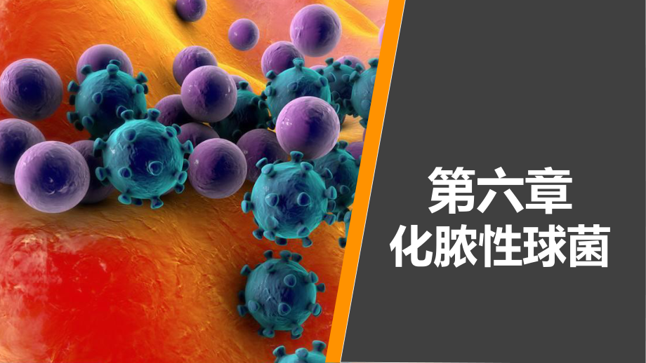 病原生物学与免疫学-第六章课件.ppt_第1页