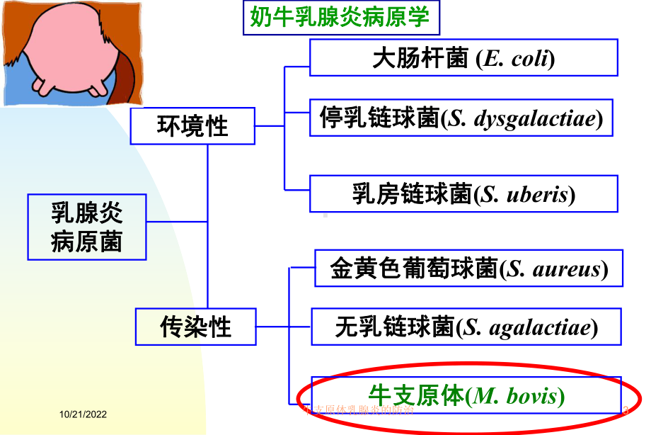 牛支原体乳腺炎的防治培训课件.ppt_第3页