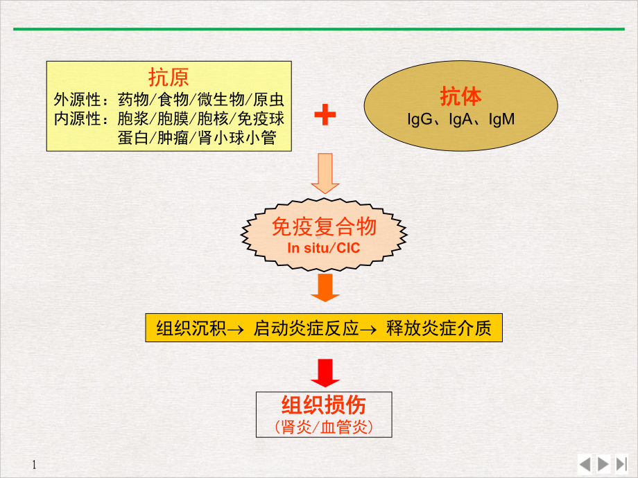 激素和免疫抑制剂在原发性肾小球肾炎中的使用教学课件.ppt_第3页