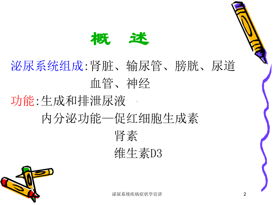 泌尿系统疾病症状学宣讲培训课件.ppt_第2页