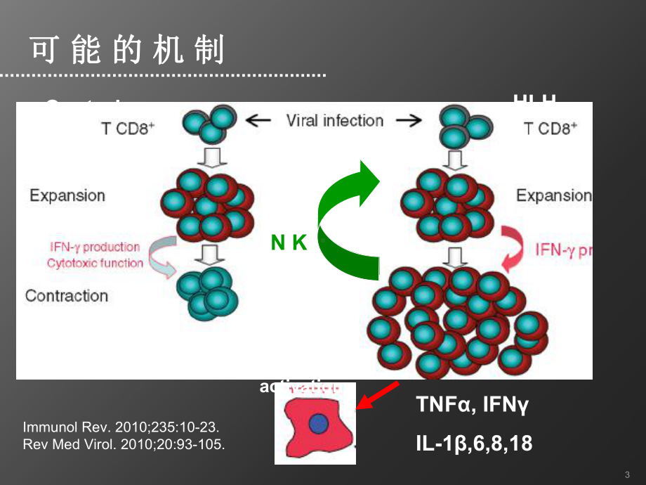 淋巴瘤相关嗜血细胞综合症课件.ppt_第3页