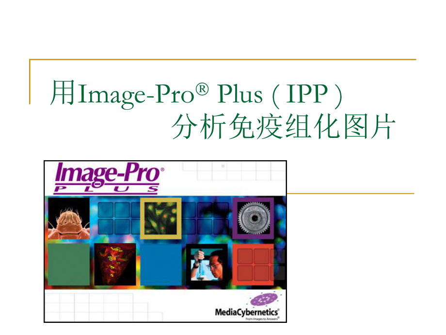 用Imagerolus分析免疫组化图片课件.pptx_第1页