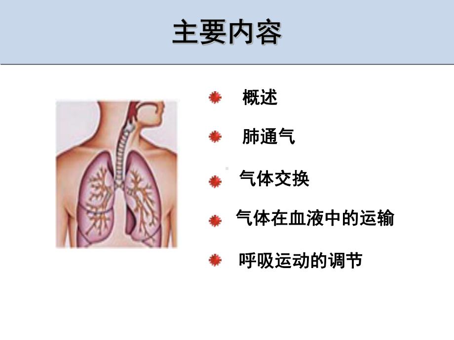 生理学呼吸系统-课件.ppt_第2页