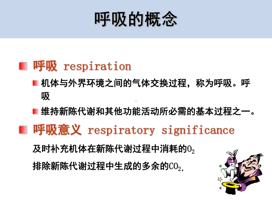 生理学呼吸系统-课件.ppt_第3页