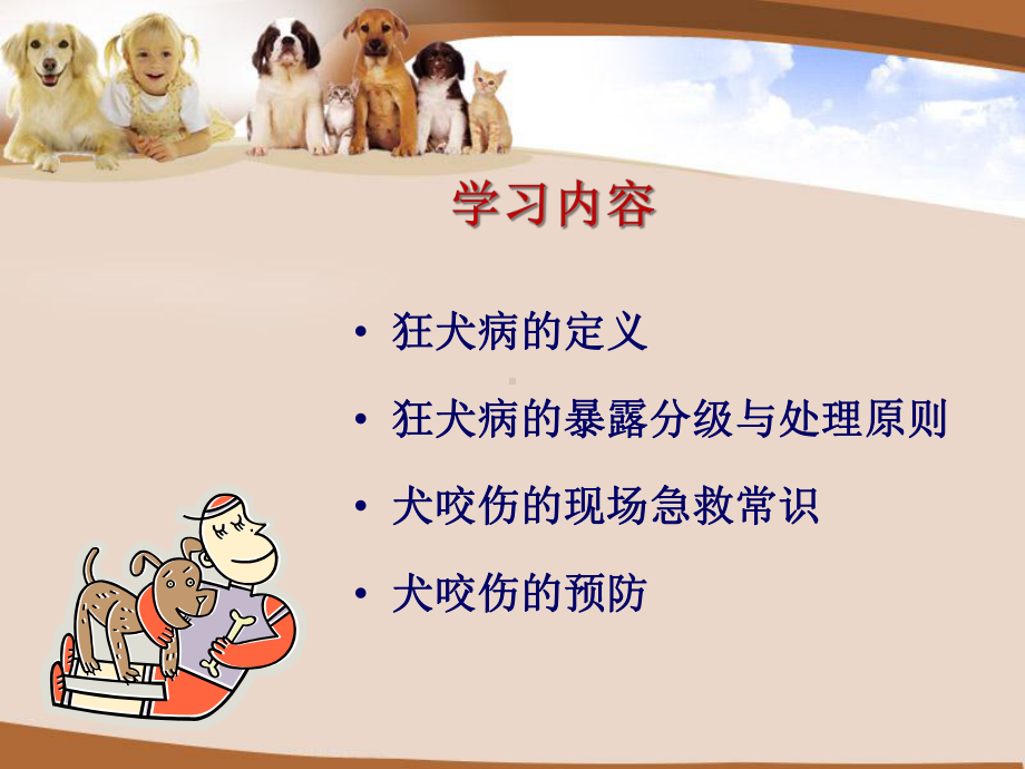 犬咬伤急救常识与预防课件.ppt_第2页