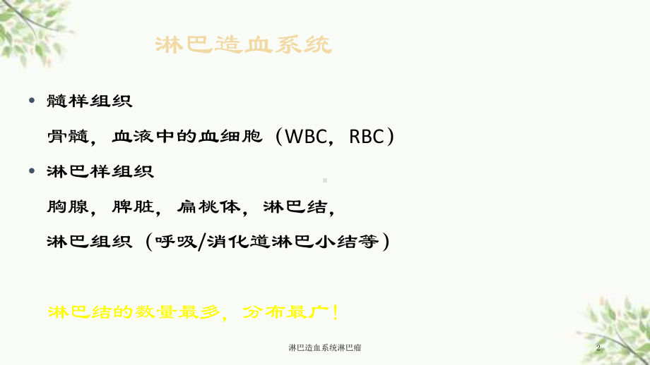 淋巴造血系统淋巴瘤课件.ppt_第2页