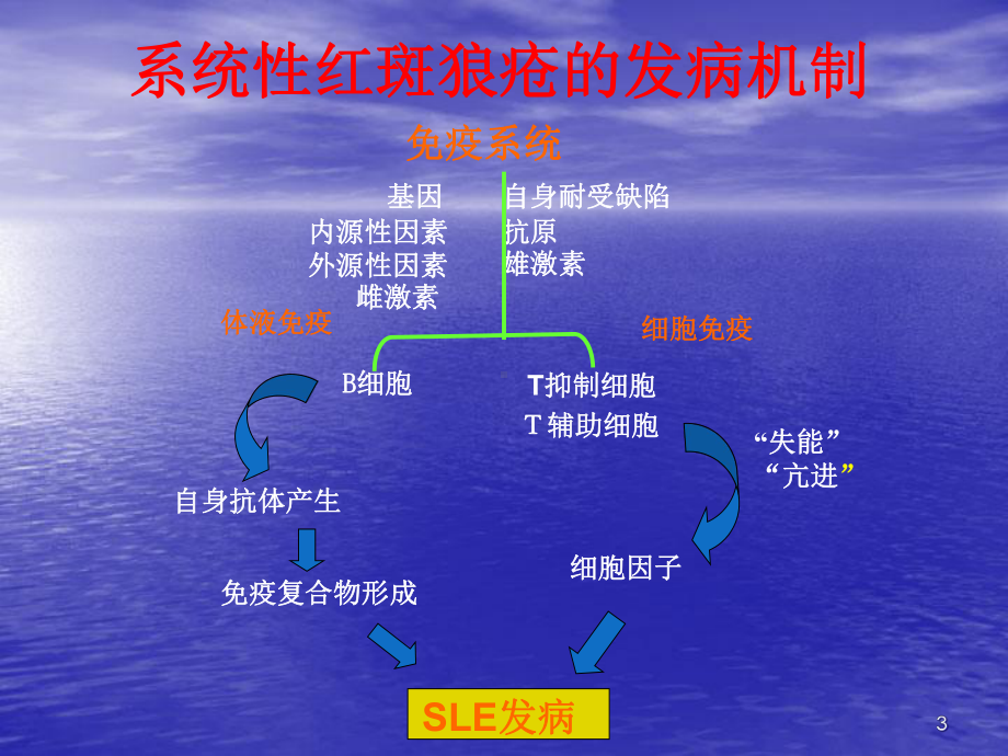 狼疮性肾的规范治疗课件.ppt_第3页