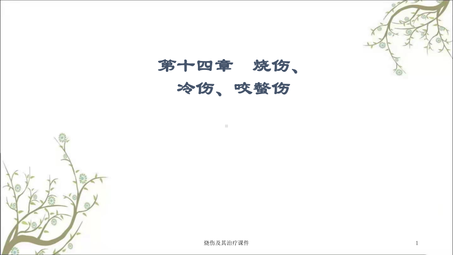 烧伤及其治疗课件.ppt_第1页