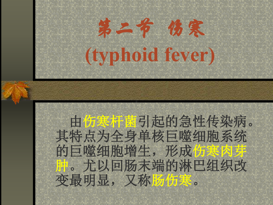 病理学伤寒菌痢2学时课件.pptx_第2页