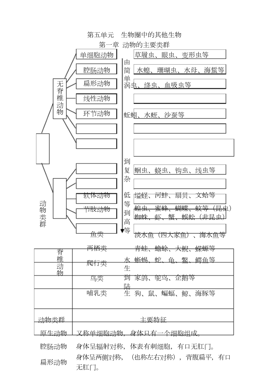 人教版生物八年级上册中考考点思维导图和知识点doc.doc_第1页