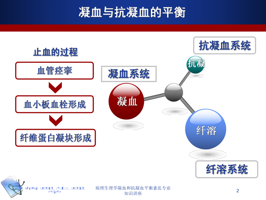 病理生理学凝血和抗凝血平衡紊乱专业知识讲座培训课件.ppt_第2页