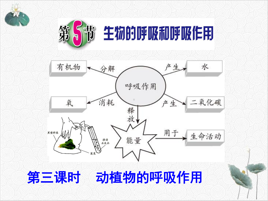 生物的呼吸和呼吸作用浙教版八级科学下册课件2.pptx_第1页