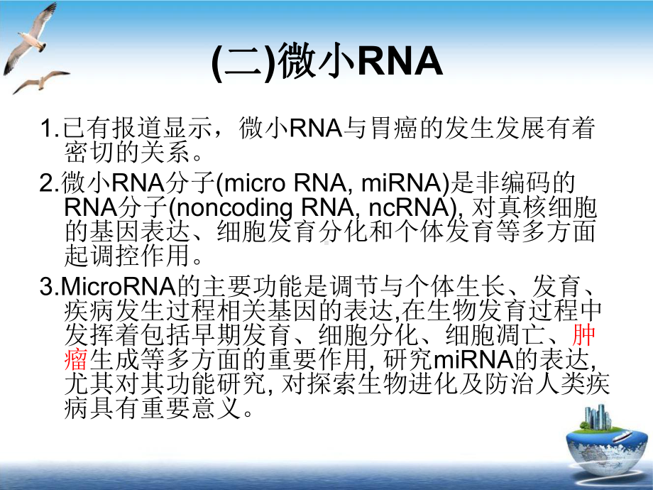 特异性微小RNAa抑制剂对胃癌细胞增殖影响系列培训课件.pptx_第3页