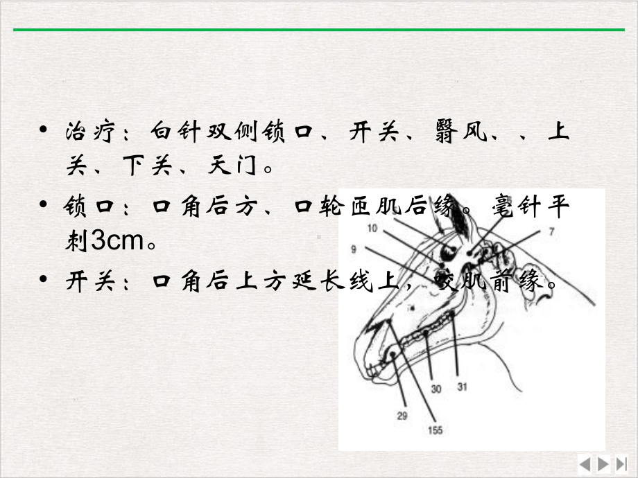 犬神经障碍性疾病的针灸治疗课件.pptx_第2页