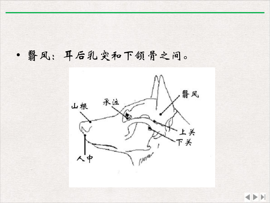 犬神经障碍性疾病的针灸治疗课件.pptx_第3页