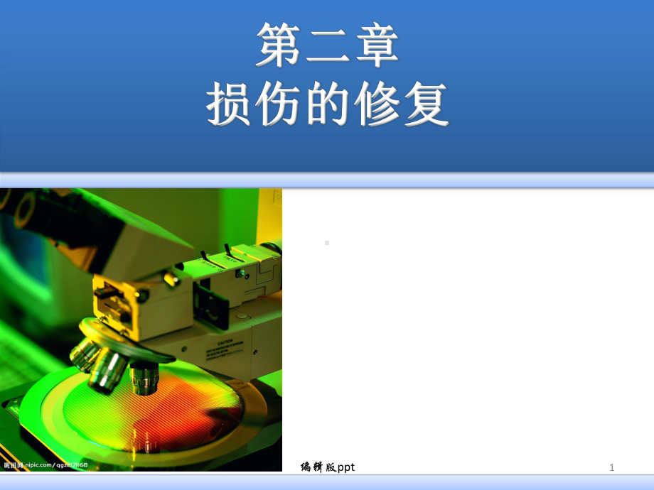 病理学损伤的修复医学课件.ppt_第1页