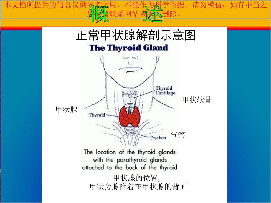 甲亢医学知识宣讲培训课件.ppt_第2页