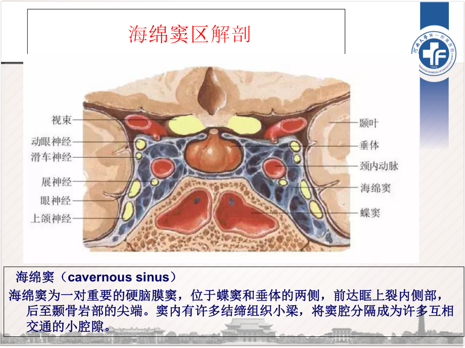 海绵窦区解剖参考课件.ppt_第1页