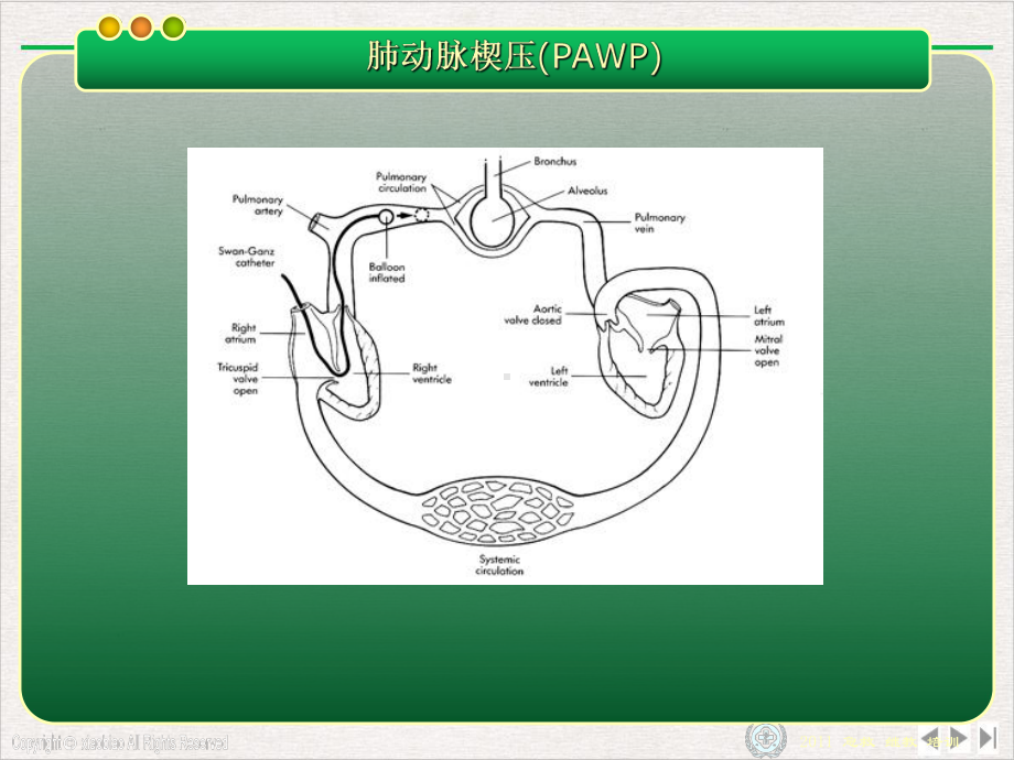 漂浮导管临床应用新进展课件精美版.pptx_第1页