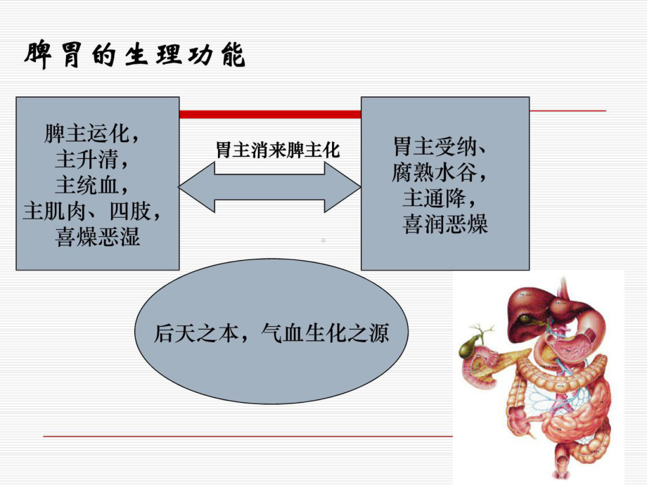 消化系统疾病的中医药治疗课件.ppt_第2页