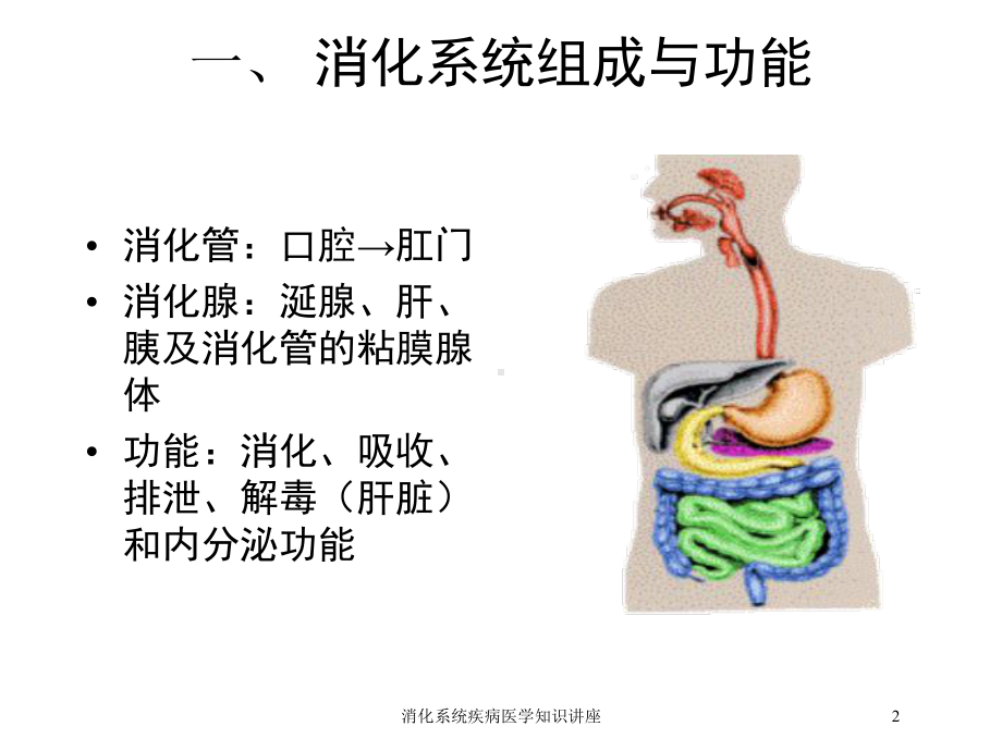 消化系统疾病医学知识讲座培训课件.ppt_第2页